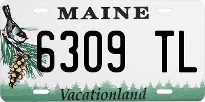 ME license plate 6309TL