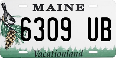 ME license plate 6309UB