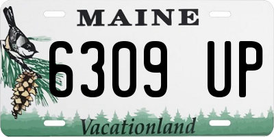 ME license plate 6309UP
