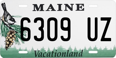 ME license plate 6309UZ
