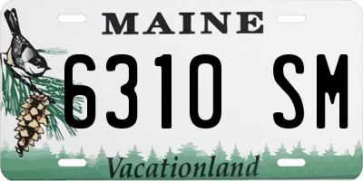 ME license plate 6310SM