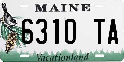 ME license plate 6310TA