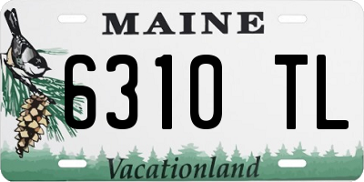 ME license plate 6310TL
