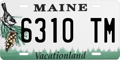 ME license plate 6310TM