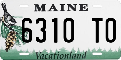 ME license plate 6310TO
