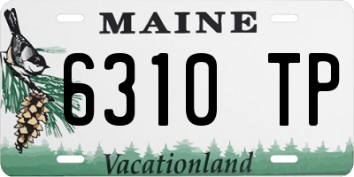 ME license plate 6310TP