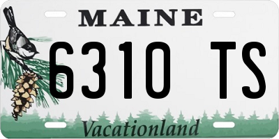 ME license plate 6310TS