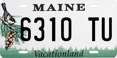 ME license plate 6310TU