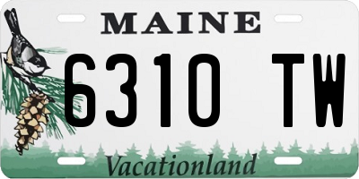 ME license plate 6310TW
