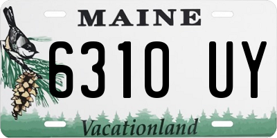 ME license plate 6310UY