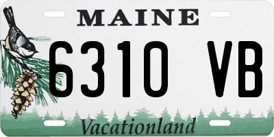 ME license plate 6310VB