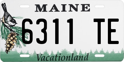 ME license plate 6311TE