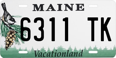 ME license plate 6311TK