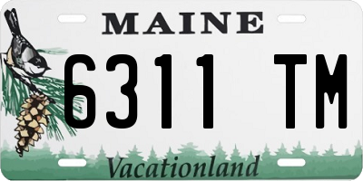 ME license plate 6311TM
