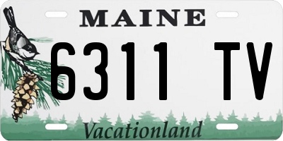 ME license plate 6311TV