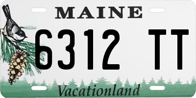 ME license plate 6312TT