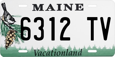 ME license plate 6312TV