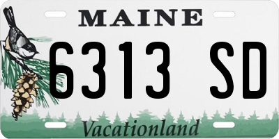 ME license plate 6313SD