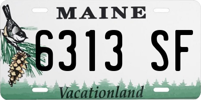 ME license plate 6313SF