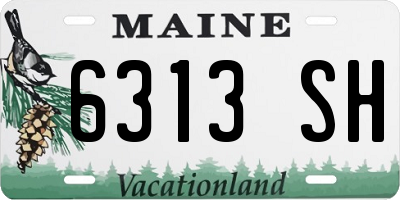 ME license plate 6313SH