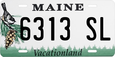 ME license plate 6313SL