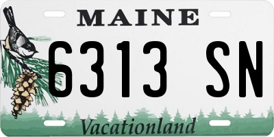 ME license plate 6313SN