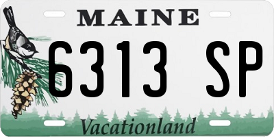 ME license plate 6313SP