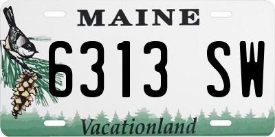 ME license plate 6313SW