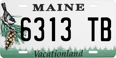 ME license plate 6313TB