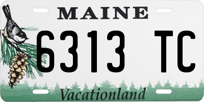 ME license plate 6313TC