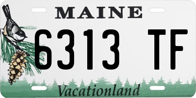 ME license plate 6313TF