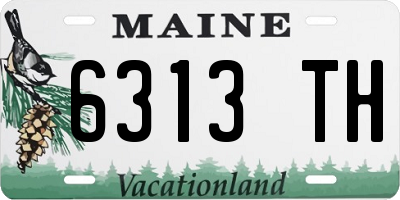 ME license plate 6313TH