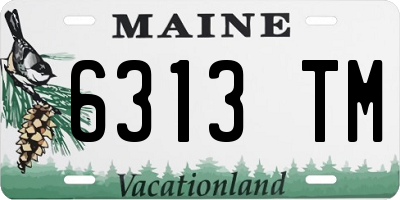 ME license plate 6313TM