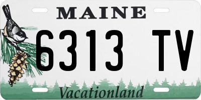 ME license plate 6313TV