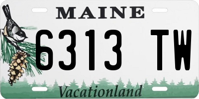 ME license plate 6313TW