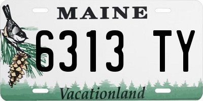 ME license plate 6313TY