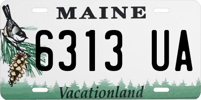 ME license plate 6313UA