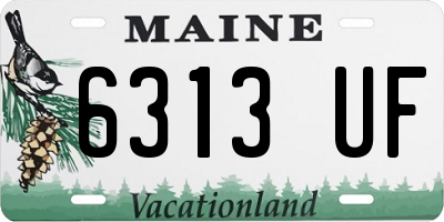 ME license plate 6313UF