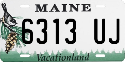 ME license plate 6313UJ