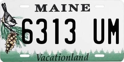 ME license plate 6313UM