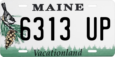 ME license plate 6313UP