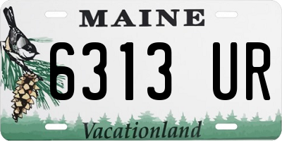 ME license plate 6313UR