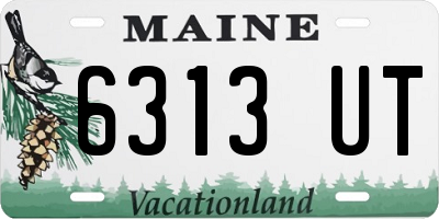 ME license plate 6313UT