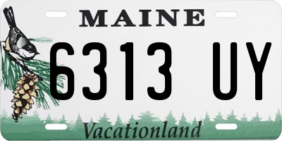 ME license plate 6313UY