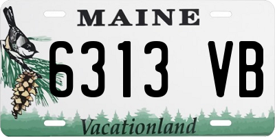 ME license plate 6313VB