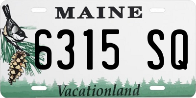 ME license plate 6315SQ