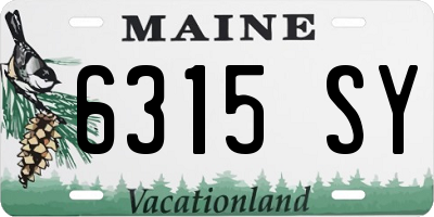 ME license plate 6315SY