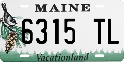 ME license plate 6315TL