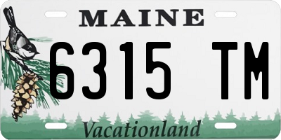 ME license plate 6315TM
