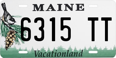 ME license plate 6315TT